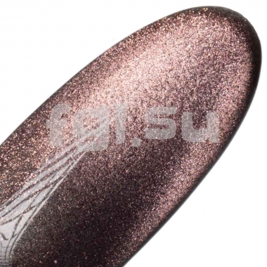 Гель-лак Кошачий глаз Cat ice eye 002 FGL 10мл